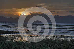 Chinese fishing village intertidal zone in sunset