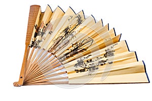 Chinese folding fan isolated