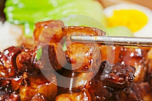 Chinese food--Braise in soy sauce meat