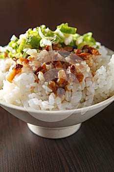 Chinese food, braised pork rice