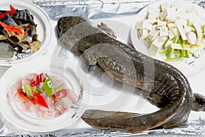 Chinese Food: Giant salamander