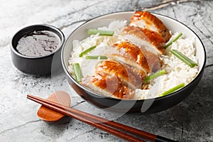 Chinese Food Soy Sauce Chicken or See Yao Gai served with rice and dipping sauce closeup. Horizontal photo