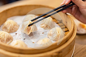 Chinese food xiao long bao steamed soup dumpling