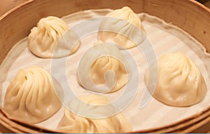 Chinese Food,Xiao Long Bao traditional soup dumpling