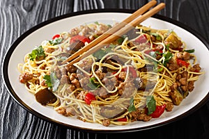 Chinese fried eggplant with minced meat, egg noodles, garlic and herbs close-up on the table. horizontal