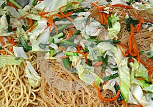Chinese Fried Noodles with Vegetables