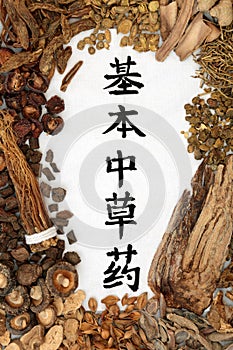 Chinese Fundamental Herbs Used in Herbal Medicine