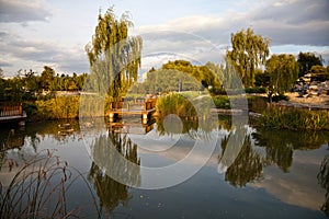 Chinese garden