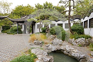 Chinese garden