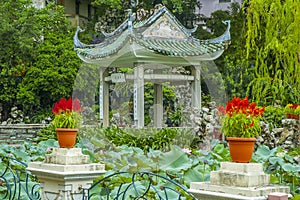 Chinese garden