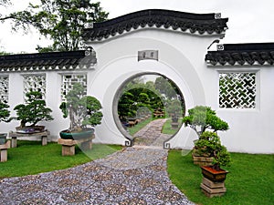 Cinese giardino campo 