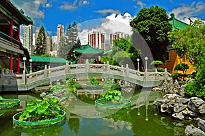 Chinese garden with footbridge