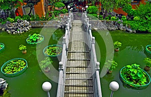 Chinese garden with footbridge