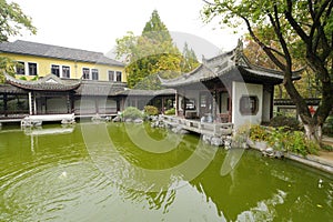 Chinese garden photo