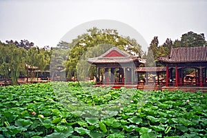 Chinese garden in summer palace, Beijing, China.