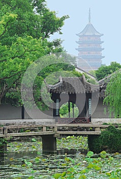 Chinese garden in Suzhou, near Shanghai