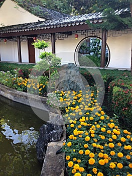 Chinese garden