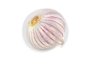 Chinese garlic (solo) on a white background