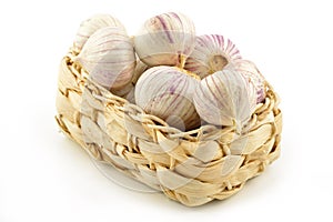 Chinese garlic (solo) on a white background