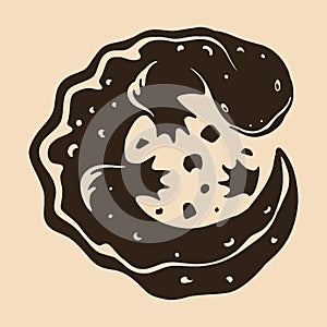 Chinese giant salamander, Hellbender icon, Salamander vector design illustration