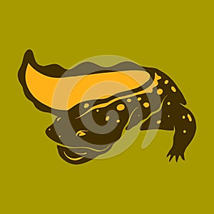 Chinese giant salamander, Hellbender icon, Salamander vector design illustration