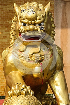 Chinese Gold Lion Staute photo