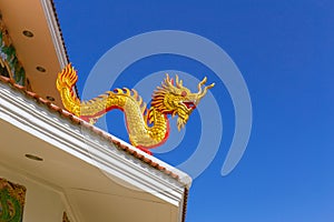 Chinese golden dragon at the roof top of temple