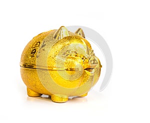 Chinese golden Pig piggy bank
