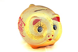 Chinese good luck pig