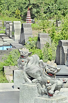 Chinese graveyard