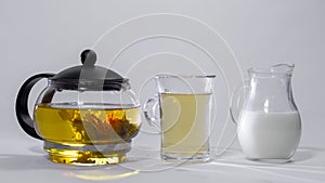 Chinese green tea Bud blooms in a glass teapot. Cup of tea, a jug of milk