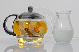 Chinese green tea Bud blooms in a glass teapot. jug with milk