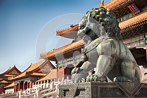 Chinese guardian lion