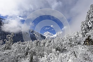 Chinese Hailuogou glacier rime primeval forest ã€‚Blue sky, white cloud, glacier