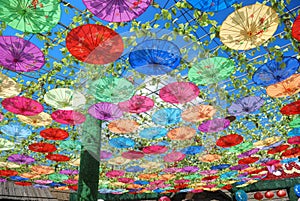 Chinese handmade oilpaper umbrella