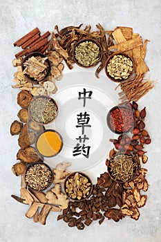 Chinese Healing Herbs with Calligraphy Script
