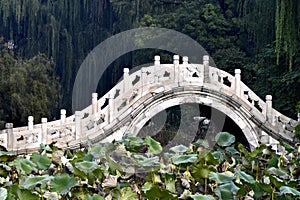 Chinese Hebei Baoding ancient lotus pond Wan Hongqiao