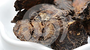 Chinese herb medicine of Chuanxiong Rhizoma or Szechwan Lovage Rhizome rotating