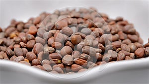 Chinese herb medicine of Raphani Semen or Garden Radish Seed rotating closeup