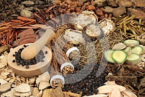 Chinese Herbal Alternative Medicine Collection photo