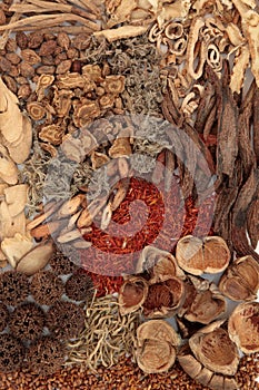 Chinese Herbal Medicine