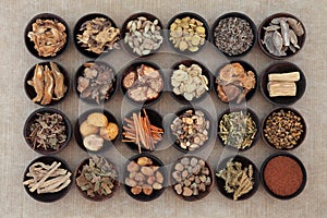 Chinese Herbal Medicine