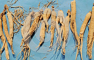 Chinese herbal medicine ginseng