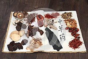Chinese Herbs and Acupuncture Needles photo