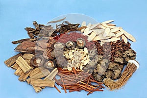 Chinese Herbs used in Herbal Medicine