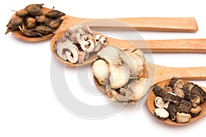 Chinese herbs on wooden spoons at white