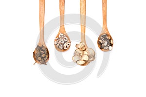 Chinese herbs on wooden spoons at white