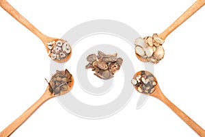 Chinese herbs on wooden spoons at white background