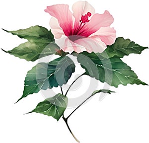 Chinese Hibiscus clipart. A cute Chinese Hibiscus flower icon. AI-Generated.