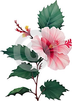 Chinese Hibiscus clipart. A cute Chinese Hibiscus flower icon. AI-Generated.